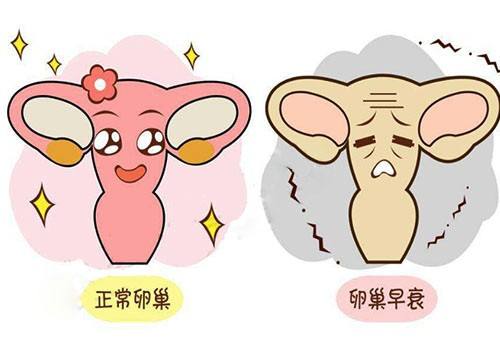 汉中华西妇产医院|警惕卵巢早衰的四个症状