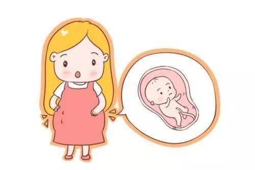 汉中华西妇产医院|怀孕几个月开始胎动频繁？