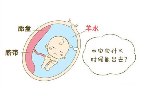 汉中华西妇产医院|宝宝胎位不正怎么办？