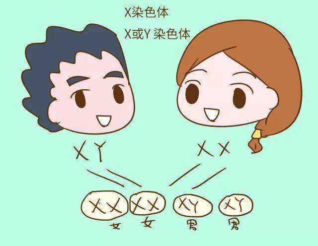 汉中华西妇产医院|染色体异常究竟是怎么回事？